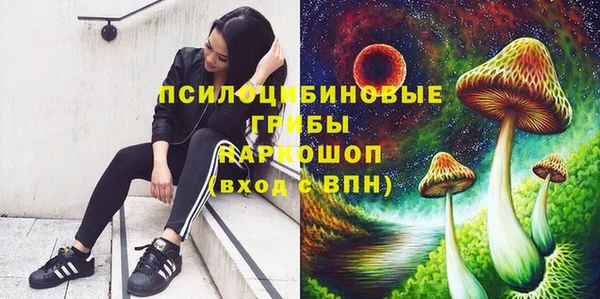 молекула духа Волосово