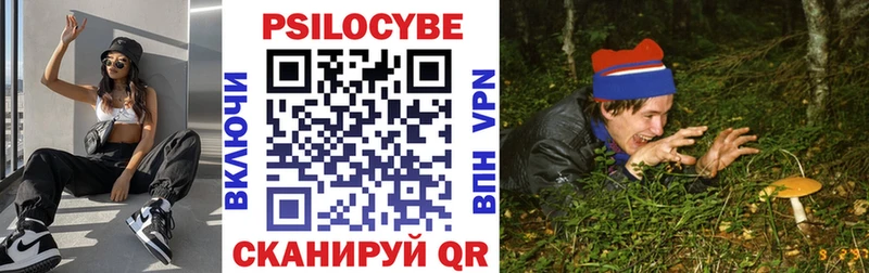 даркнет телеграм  купить закладку  Артём  Галлюциногенные грибы Psilocybine cubensis 